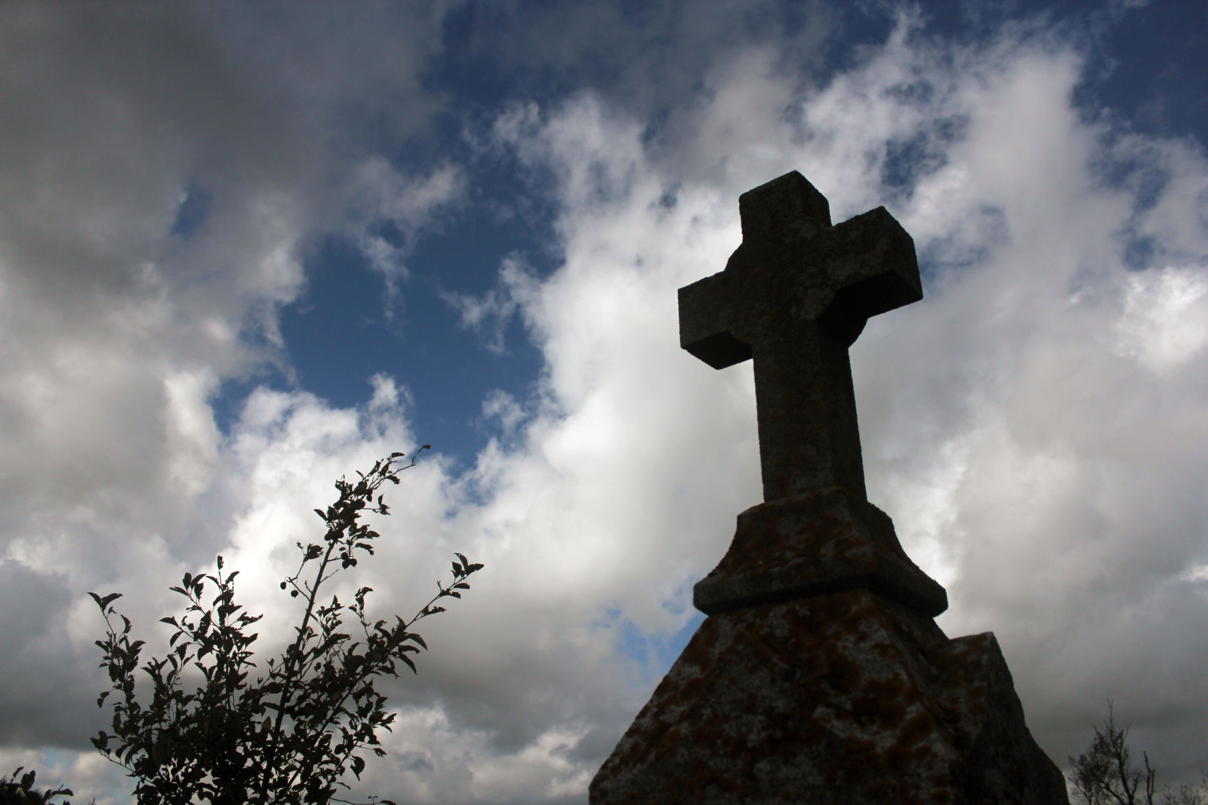 Haunted 4